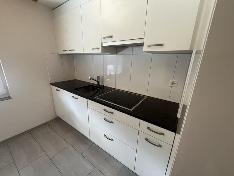 Charmante, moderne 3-Zimmer-Wohnung in der Enge (4)