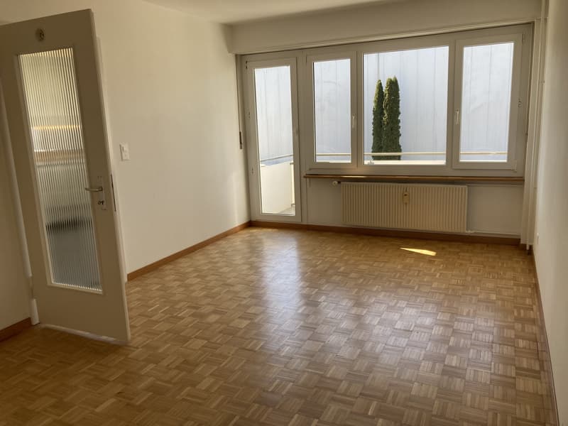 Geräumige und helle Wohnung (4)