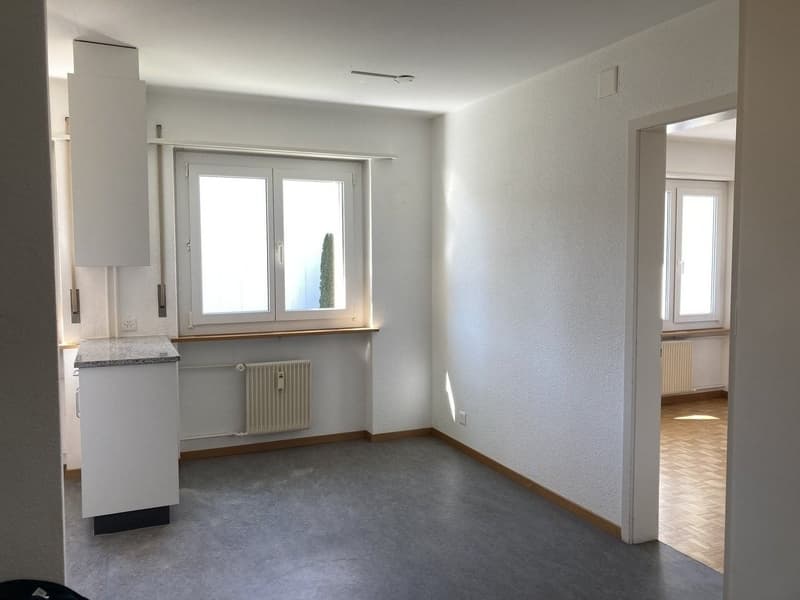 Geräumige und helle Wohnung (3)