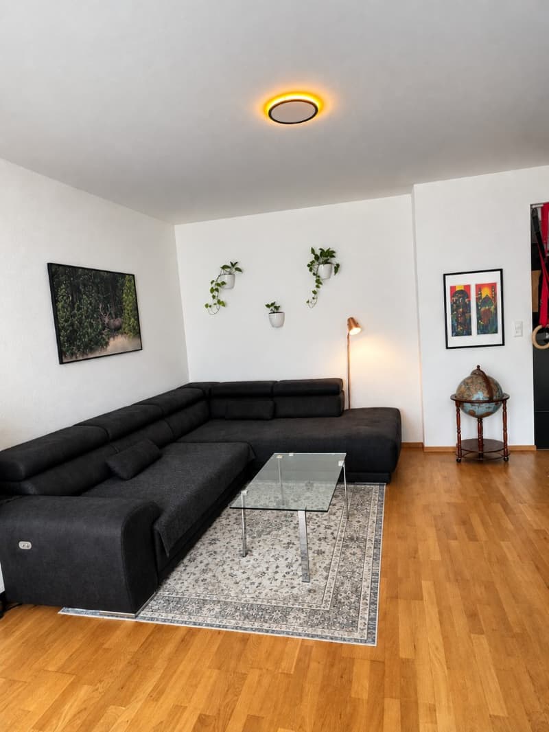 Möblierte 2-Zimmer-Wohnung im Zentrum von Basel (3)