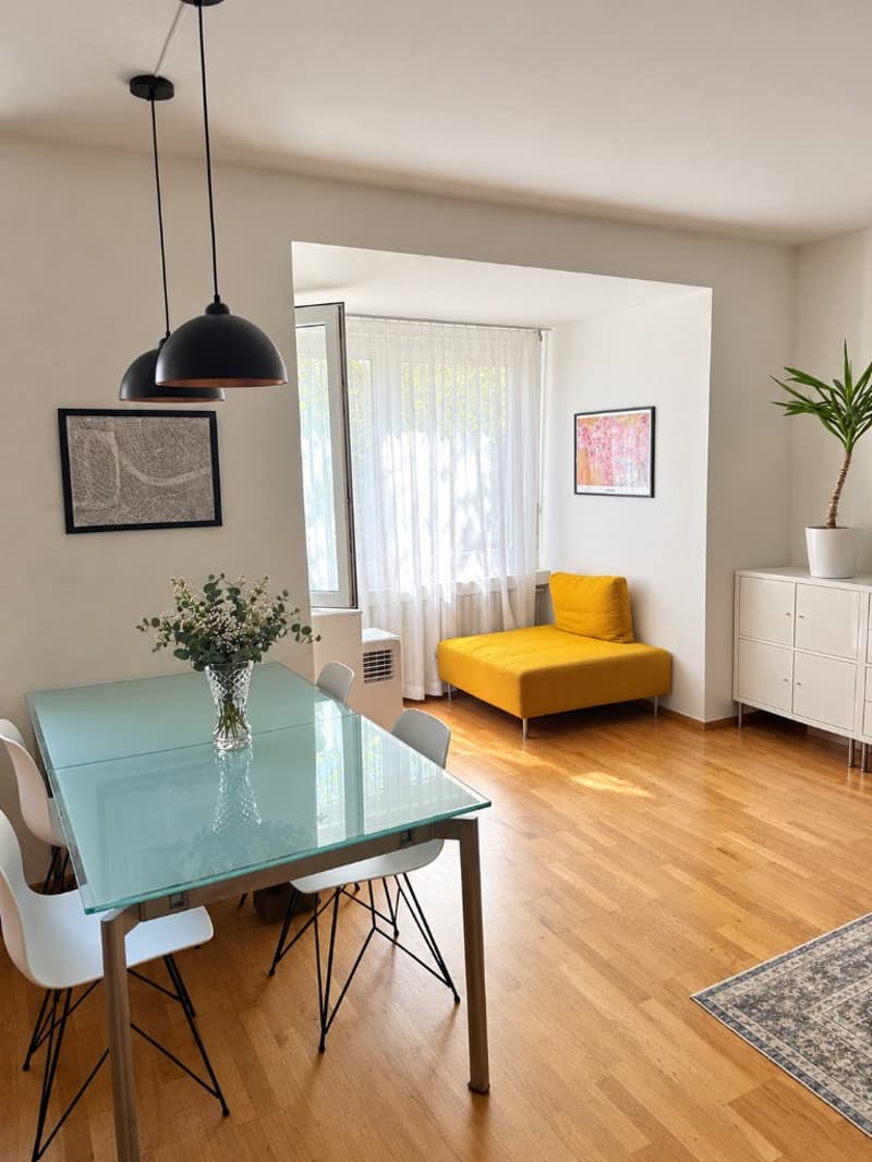 Möblierte 2-Zimmer-Wohnung im Zentrum von Basel (2)
