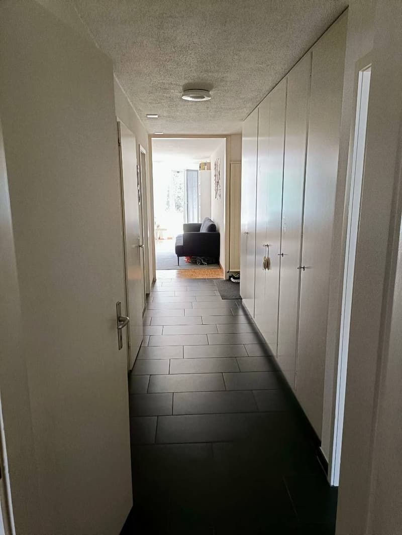 3 ½ Zimmer-Wohnung, 3600 Thun (9)