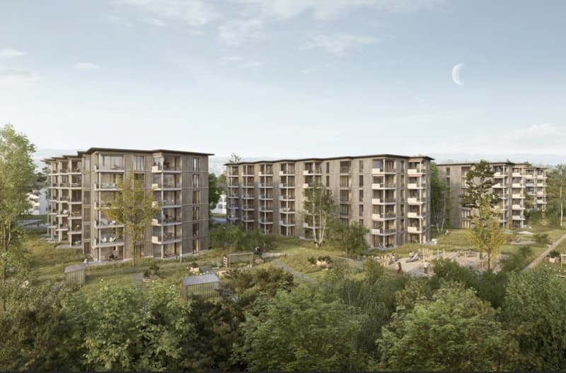 3 ½ Zimmer-Wohnung, 8302 Kloten (2)