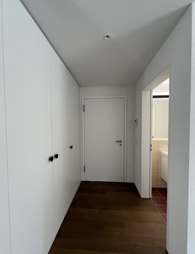 3 ½ Zimmer-Wohnung, 8302 Kloten (9)