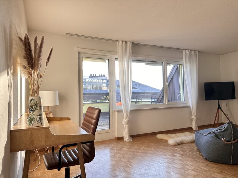 Furnished Private Apartment in Thalwil (limited till 31.03.2027) (5)
