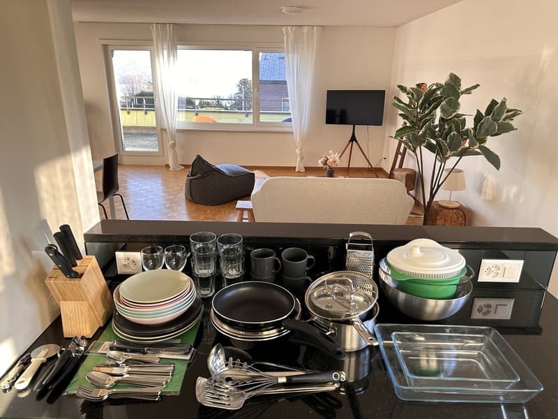 Furnished Private Apartment in Thalwil (limited till 31.03.2027) (8)