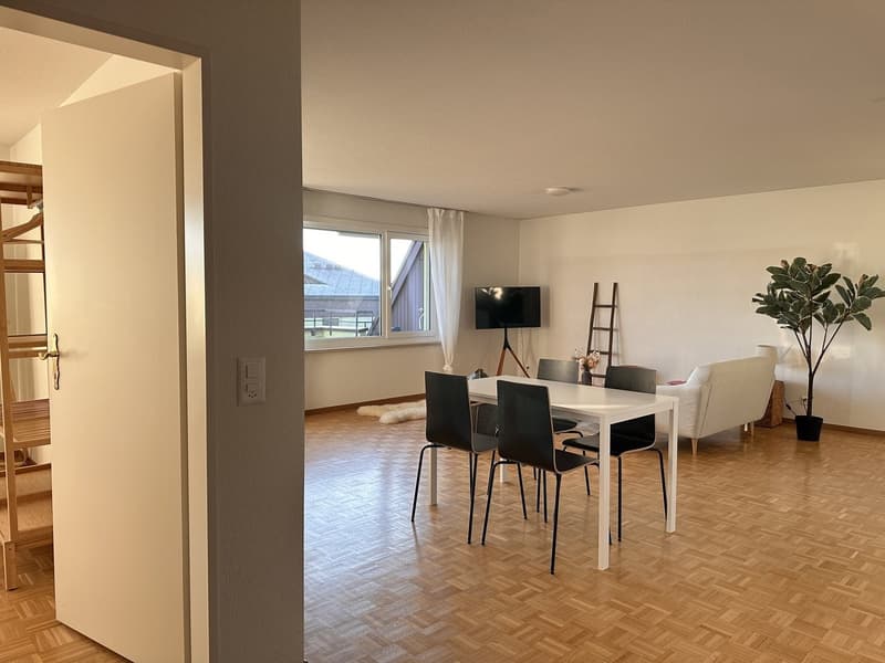Furnished Private Apartment in Thalwil (limited till 31.03.2027) (6)