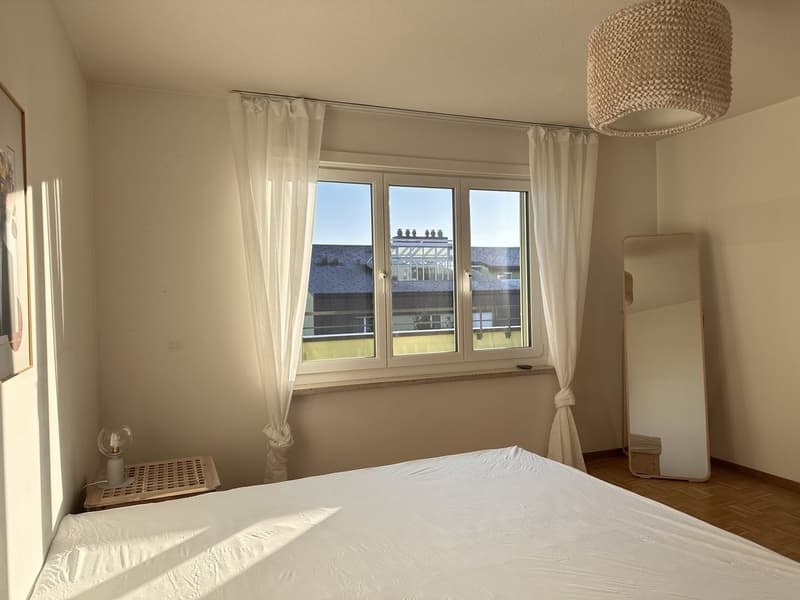 Furnished Private Apartment in Thalwil (limited till 31.03.2027) (13)