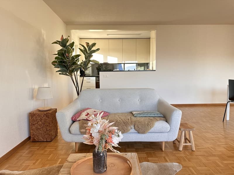 Furnished Private Apartment in Thalwil (limited till 31.03.2027) (2)