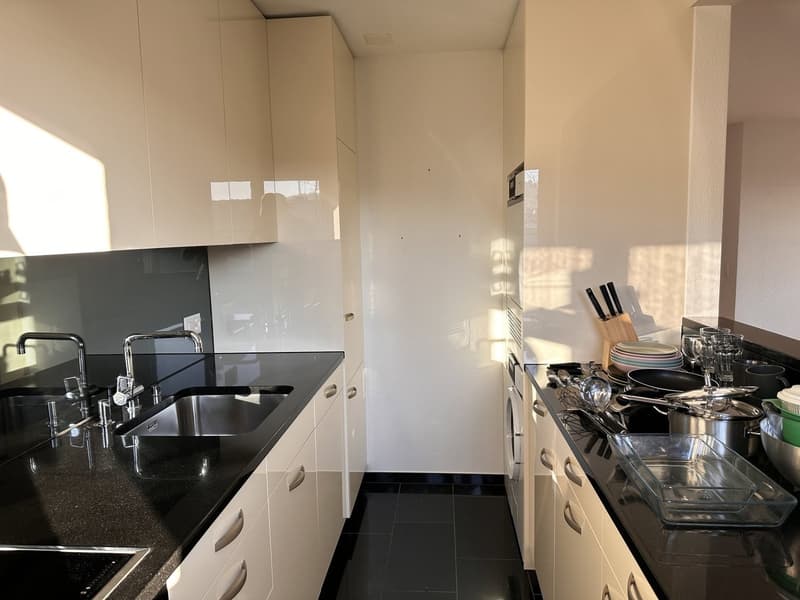 Furnished Private Apartment in Thalwil (limited till 31.03.2027) (9)