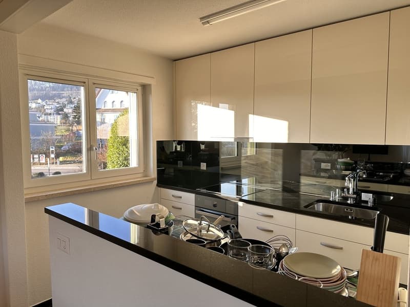 Furnished Private Apartment in Thalwil (limited till 31.03.2027) (11)