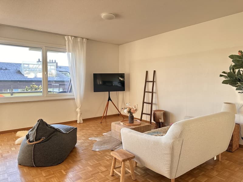 Furnished Private Apartment in Thalwil (limited till 31.03.2027) (3)