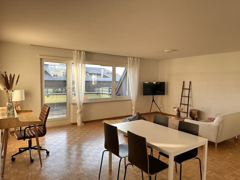 Furnished Private Apartment in Thalwil (limited till 31.03.2027) (7)