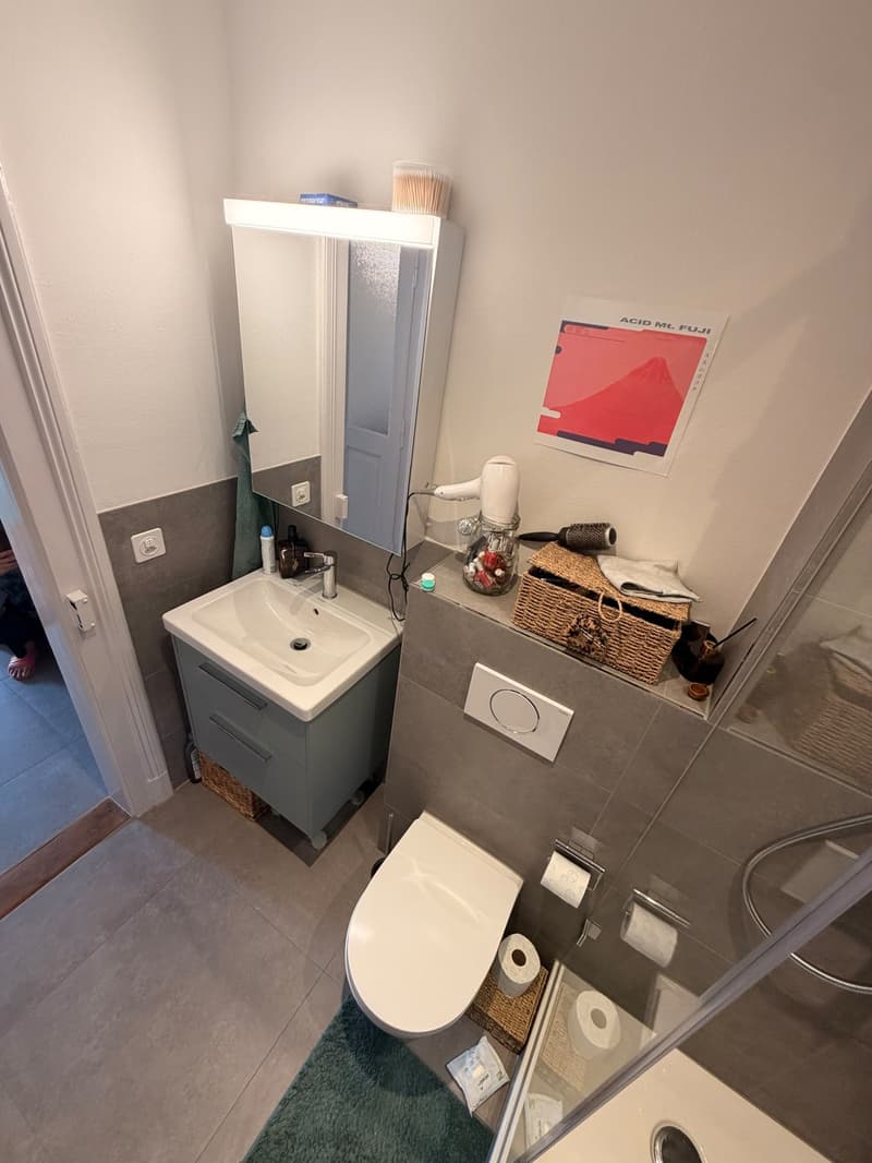 Wunderschöne 3.5 Zimmer-Maisonettewohnung in top Lage (5)