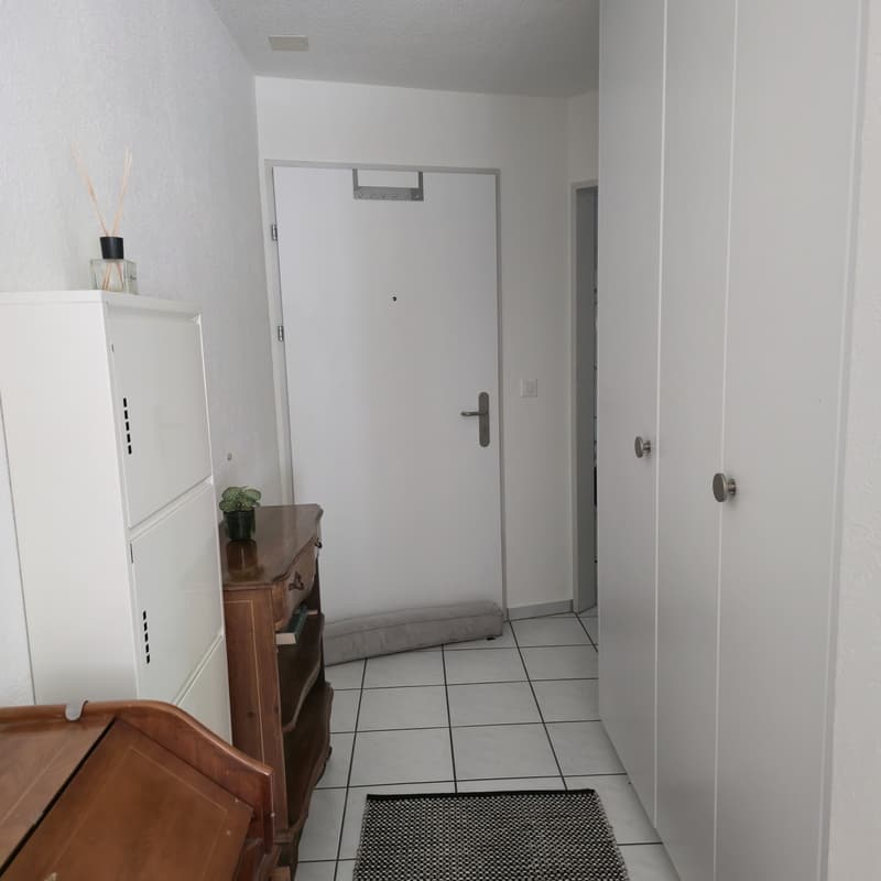 Helle 1.5-Zimmer-Wohnung mit Gartensitzplatz und Einstellhallenplatz (4)
