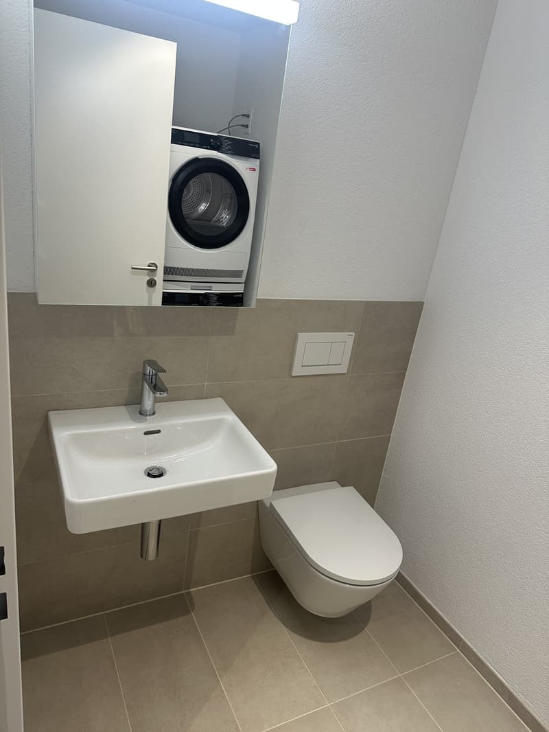 3.5 Zimmer Neubau-Wohnung zu vermieten in Reinach AG (5)
