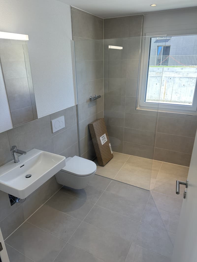 3.5 Zimmer Neubau-Wohnung zu vermieten in Reinach AG (10)