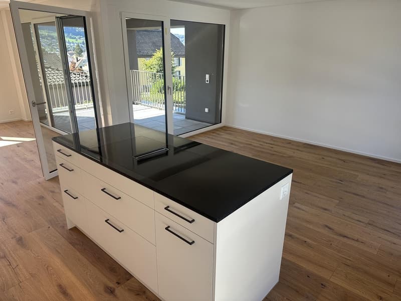 3.5 Zimmer Neubau-Wohnung zu vermieten in Reinach AG (13)