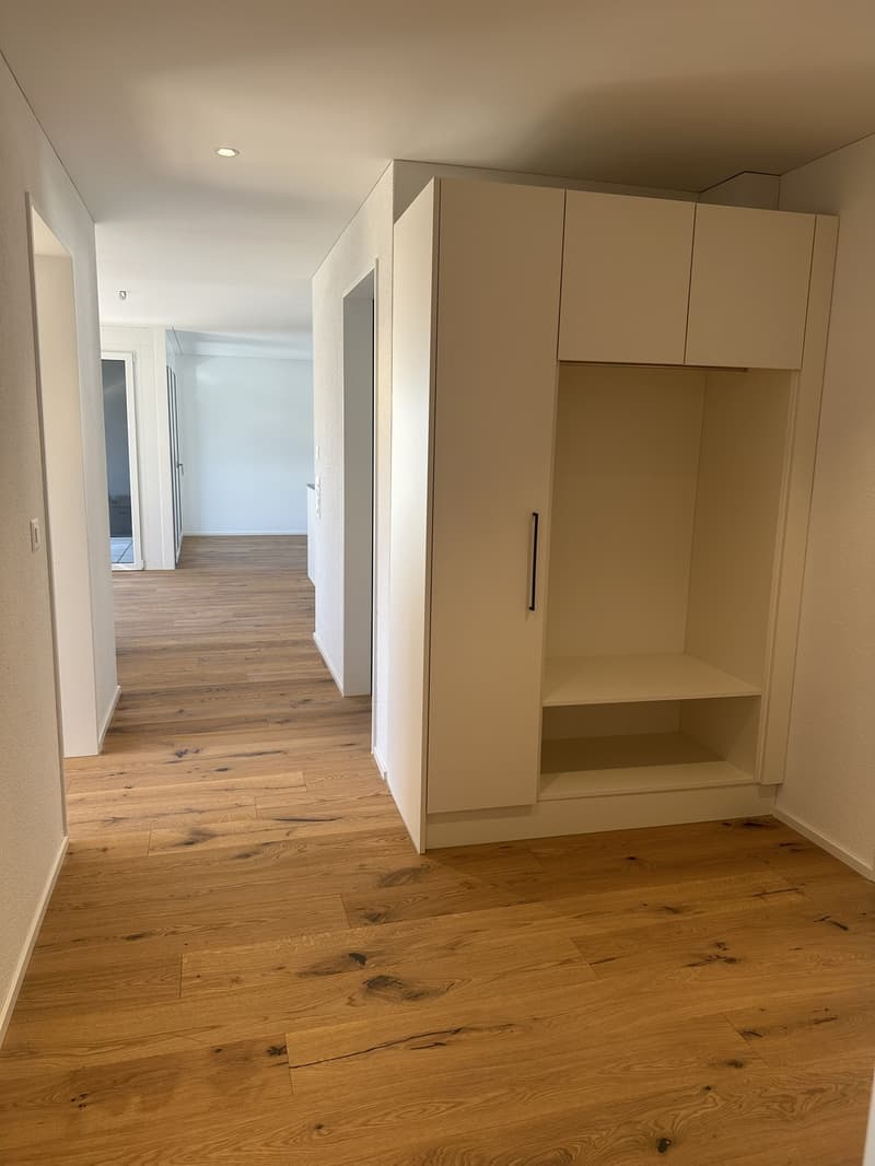 3.5 Zimmer Neubau-Wohnung zu vermieten in Reinach AG (7)