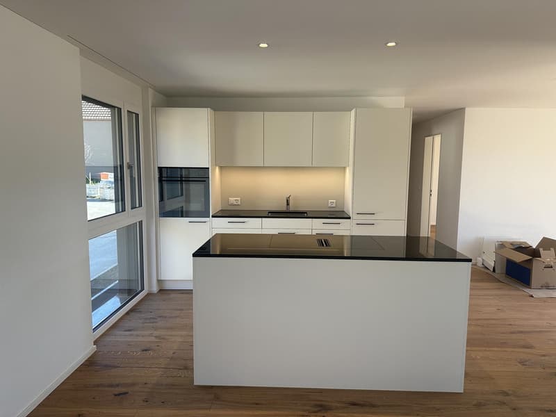 3.5 Zimmer Neubau-Wohnung zu vermieten in Reinach AG (3)