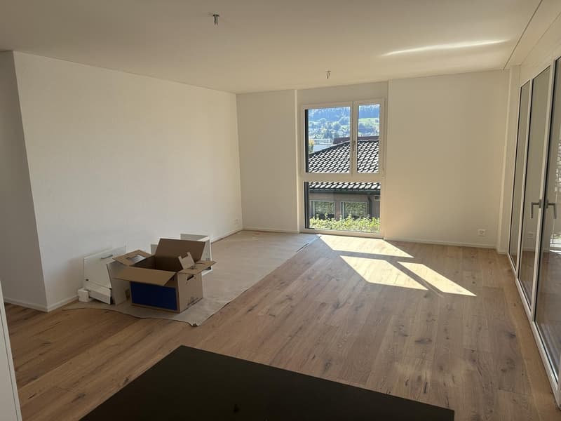 3.5 Zimmer Neubau-Wohnung zu vermieten in Reinach AG (8)