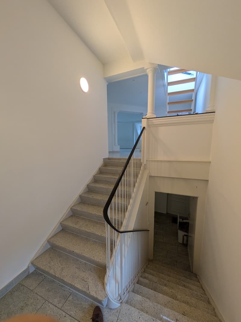 Über den Dächern der Stadt  grosszügige Attikawohnung mit traumhafter Dachterrasse (2)