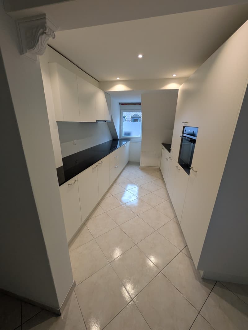 Über den Dächern der Stadt  grosszügige Attikawohnung mit traumhafter Dachterrasse (8)