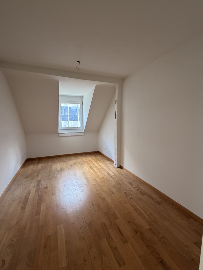 Über den Dächern der Stadt  grosszügige Attikawohnung mit traumhafter Dachterrasse (10)