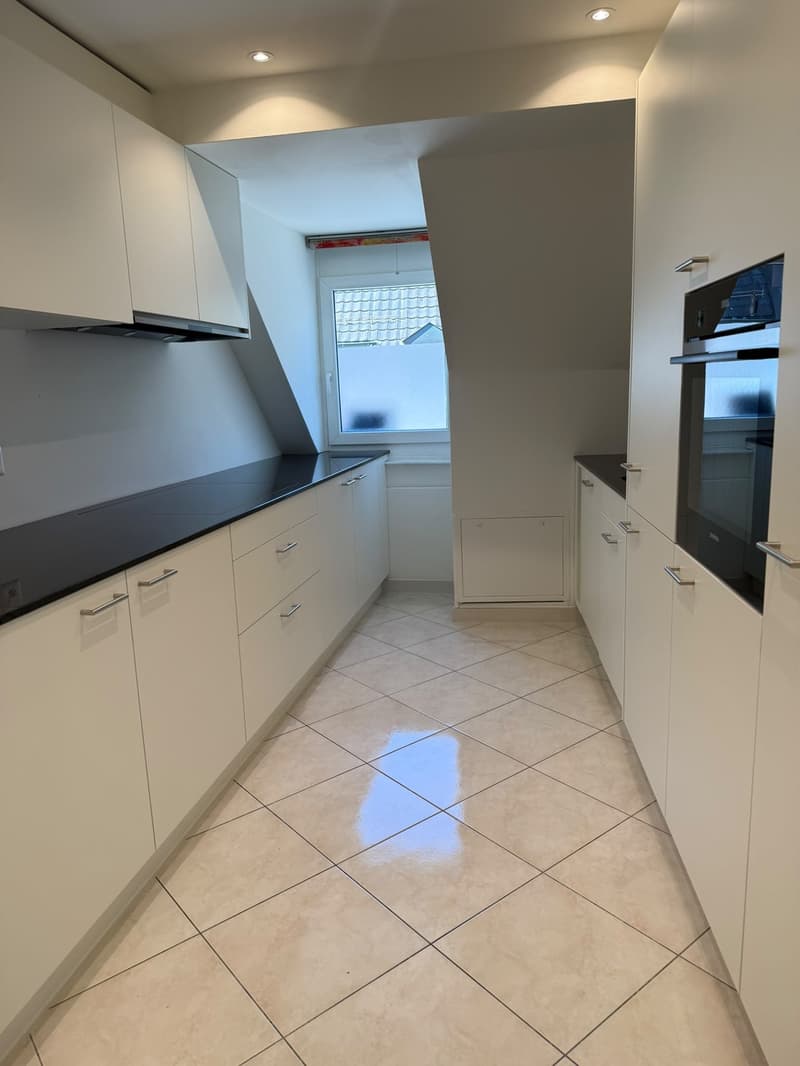 Über den Dächern der Stadt  grosszügige Attikawohnung mit traumhafter Dachterrasse (9)