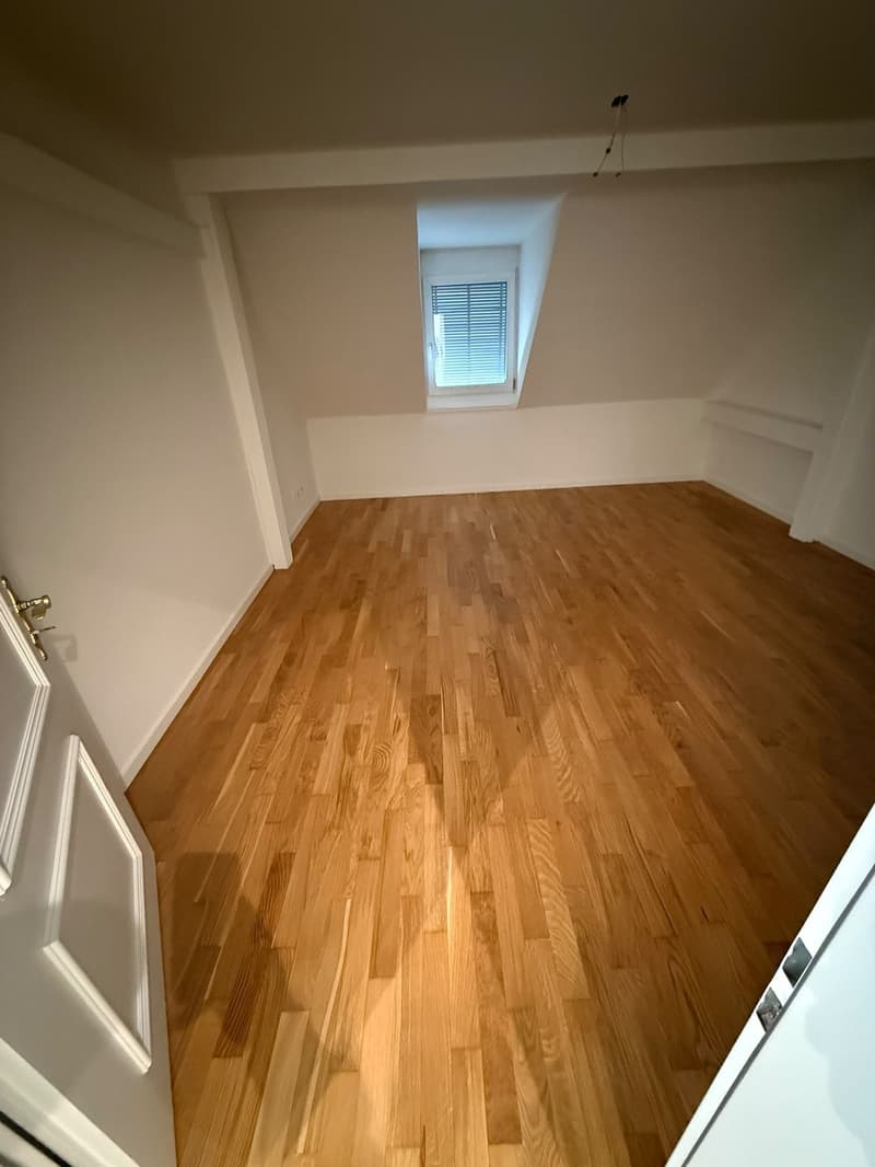 Über den Dächern der Stadt  grosszügige Attikawohnung mit traumhafter Dachterrasse (11)