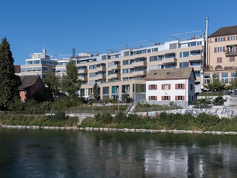 Einmaliges Wohnatelier direkt am Flussufer - Speichareal (5)
