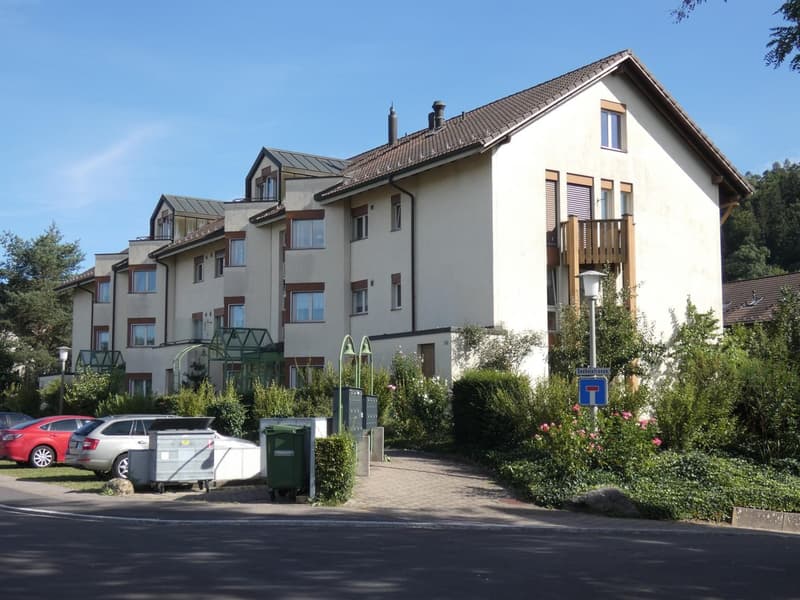 3½-Zimmer-Dach-Maisonette-Wohnung 113 m² (2)