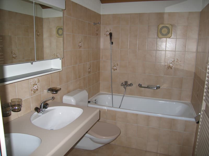 3½-Zimmer-Dach-Maisonette-Wohnung 113 m² (6)