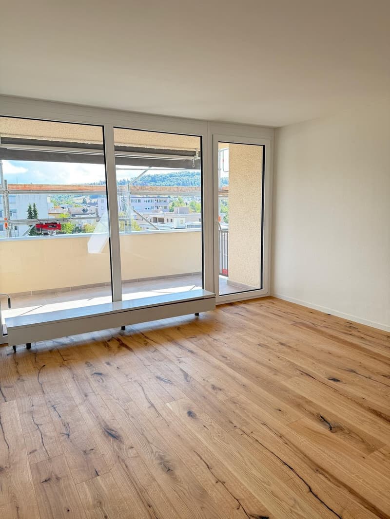 Neu sanierte 3.5-Zimmer-Wohnung mit schöner Aussicht (3)