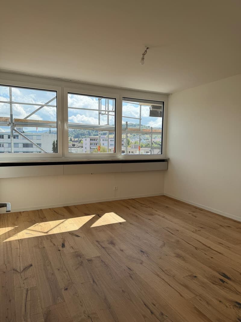 Neu sanierte 3.5-Zimmer-Wohnung mit schöner Aussicht (9)