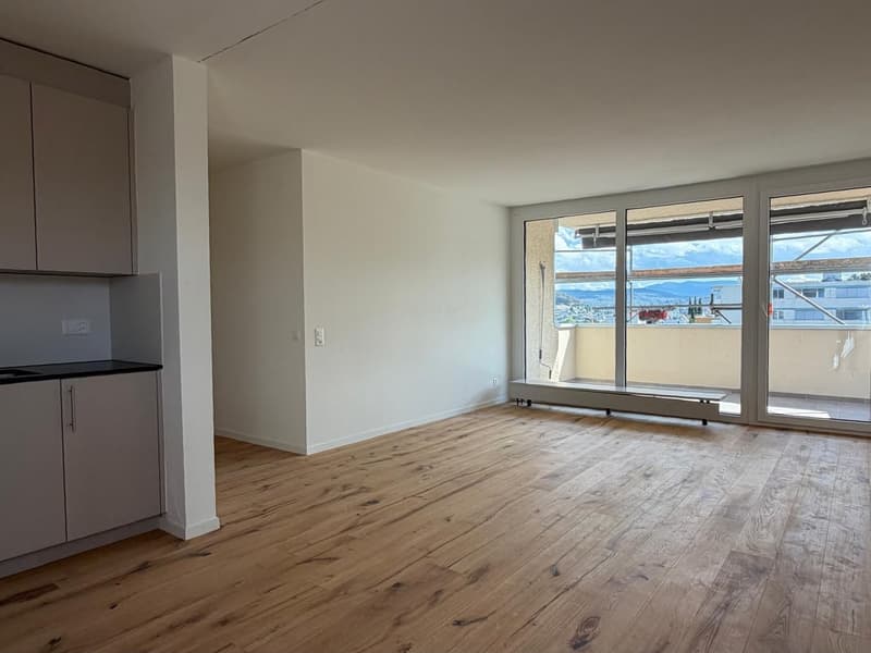 Neu sanierte 3.5-Zimmer-Wohnung mit schöner Aussicht (4)