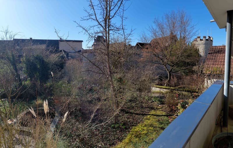 3.5 Zimmer-Eigentumswohnung mit Garten (2)