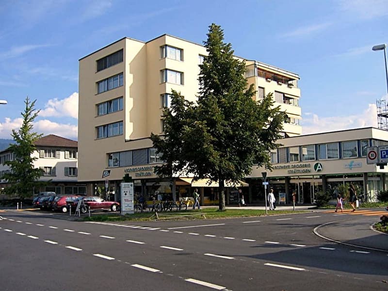 1 Zimmer-Wohnung, 3604 Thun (1)