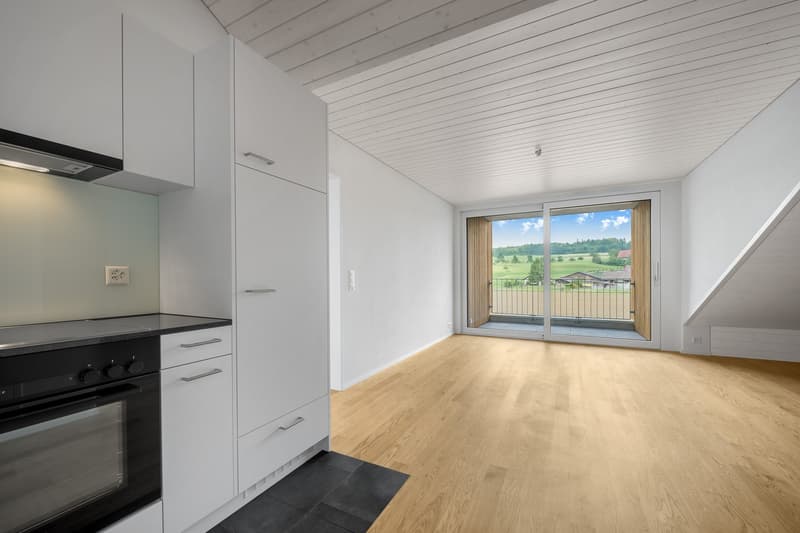 moderne 3.5 Zimmerwohnung zu vermieten (1)