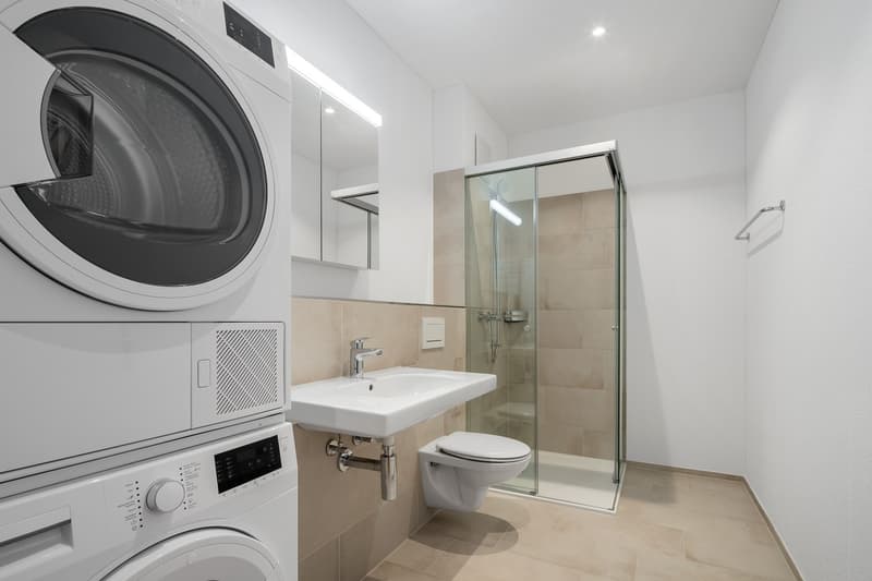 moderne 3.5 Zimmerwohnung zu vermieten (6)