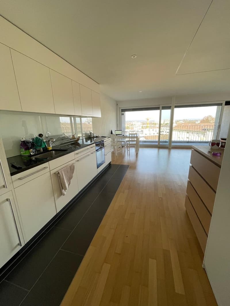 Furnished studio apartment in affoltern (1)
