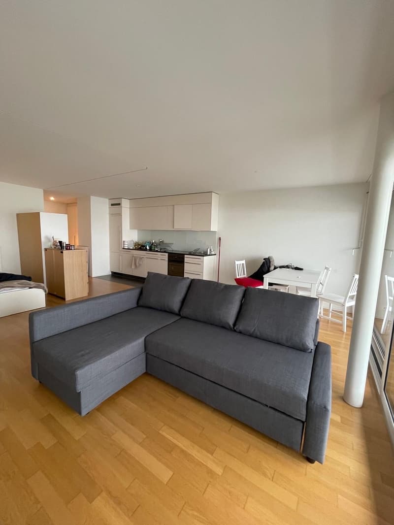 Furnished studio apartment in affoltern (3)