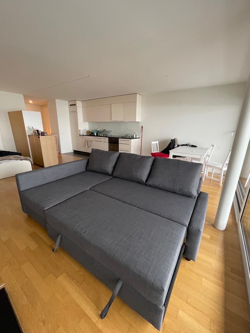 Furnished studio apartment in affoltern (2)