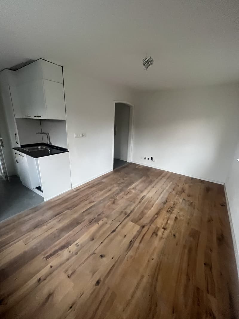 Charmante, modern ausgebaute Studiowohnung im Tössfeld-Quartier (2)