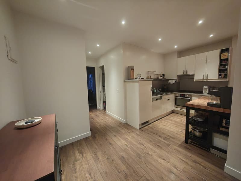 Plainpalais 80 m², balcon avec vue sur le Salève (7)