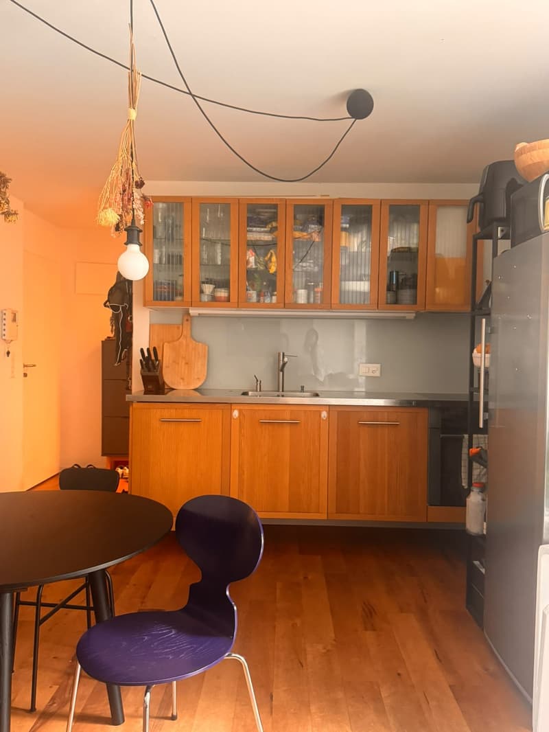 2.5 Zimmer Gartenwohnung nur 3 Gehminuten oberhalb des Schaffhauserplatzes (12)