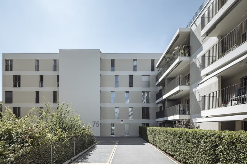 Modern wohnen in Grenchen attraktive 3.5-Zimmerwohnung nahe dem Stadtzentrum (9)