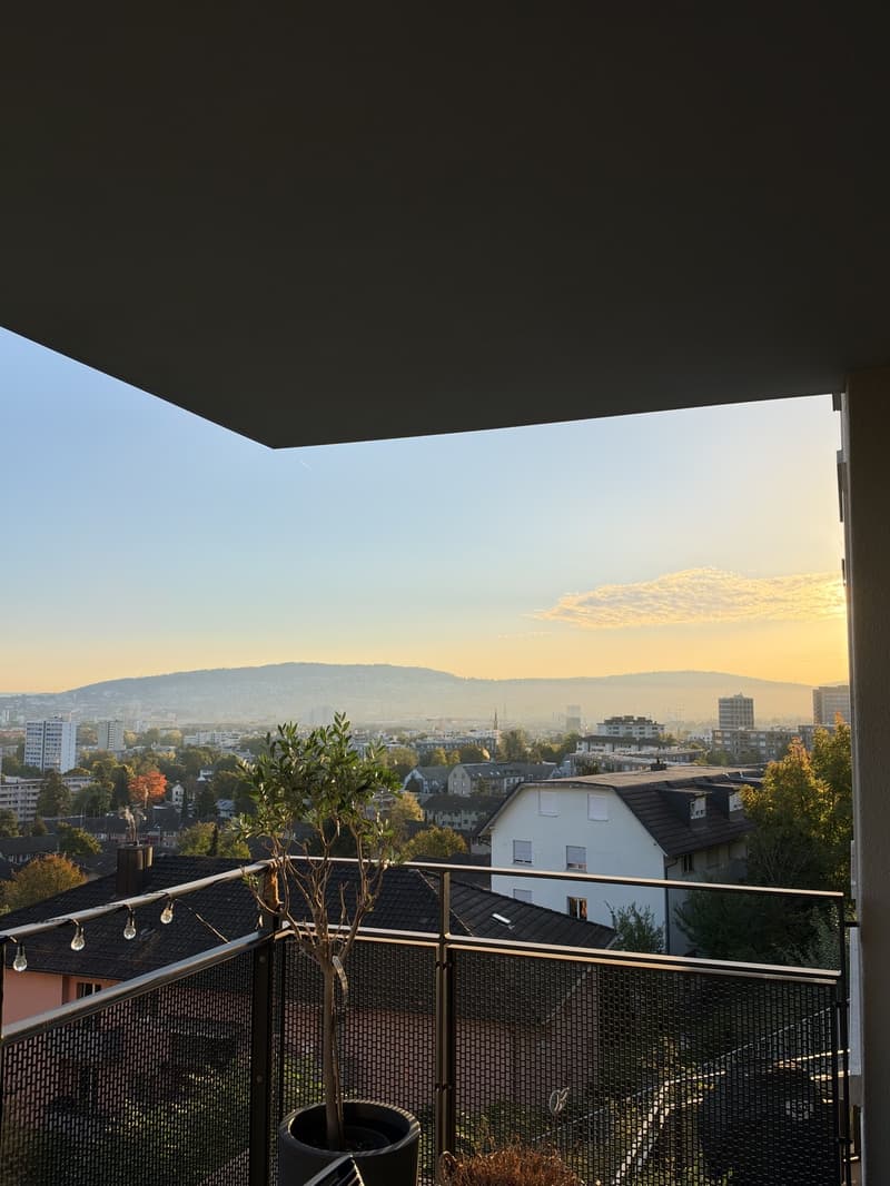 Schöne 2,5 Zimmer-Wohnung in Zürich (7)