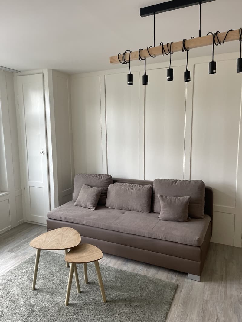 Nachmieter/in per sofort gesucht. wunderschöne 2,5-Zimmer-Wohnung in der Altstadt von Schaffhausen (7)