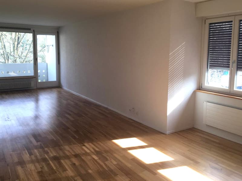 4.5 Zimmer Wohnung mit grosser Dachterrasse (2)